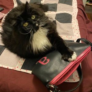 Meet your Posher, Annette